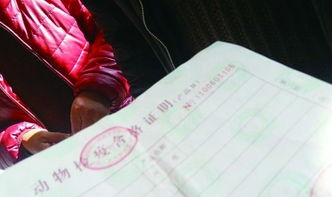 考无人机证要花多少钱？