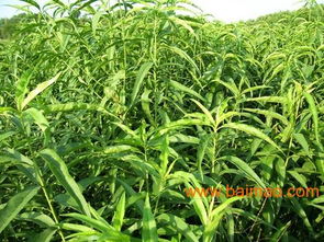 省钱秘籍大公开