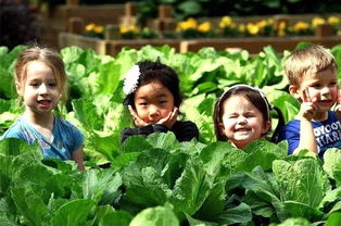 注意平安，保护自己