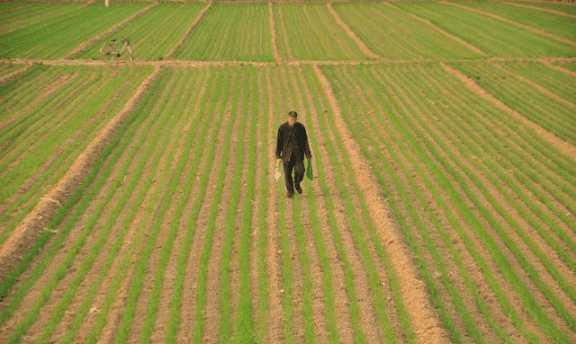 二、 补贴大揭秘，不同地区有不同待遇