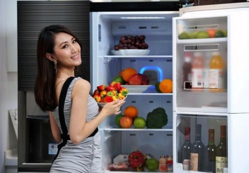 常春藤在北方的生存之道