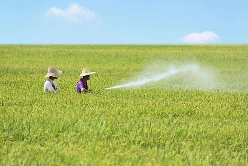 病虫害防治， 合理用药