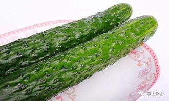苦瓜老化后是否还能食用，以及其苦味是否会随老化而增加