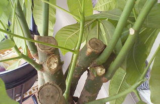 水量控制，有讲究