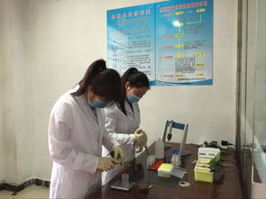 陕西科仪阳光检测技术服务有限公司