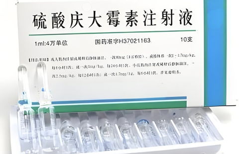 庆大霉素在兽医临床，合理使用效果佳