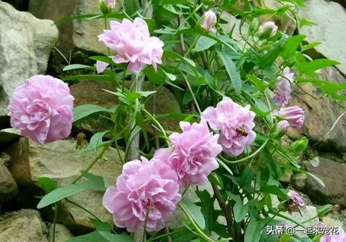 新手避坑， 这些误区要避开