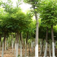 眉县收购信息， 电话13196369162