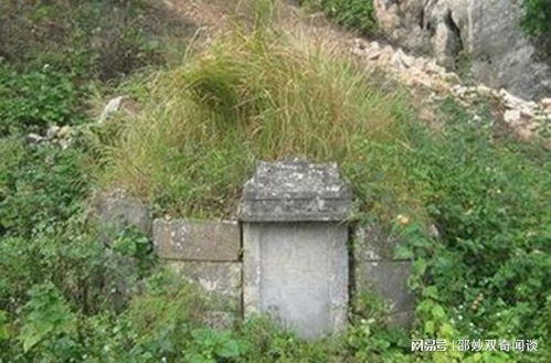 祖坟长草后使用除草剂对祖先有忌讳吗？