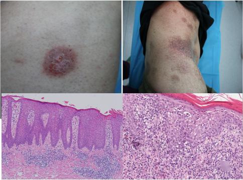 草木疗愈， 自然之道