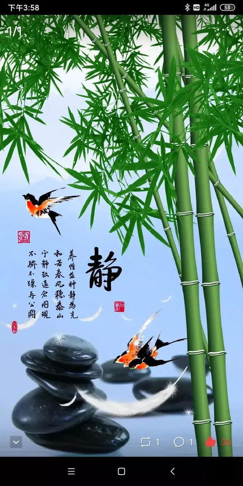 竹子因坚韧不拔，其“双”寓意何在