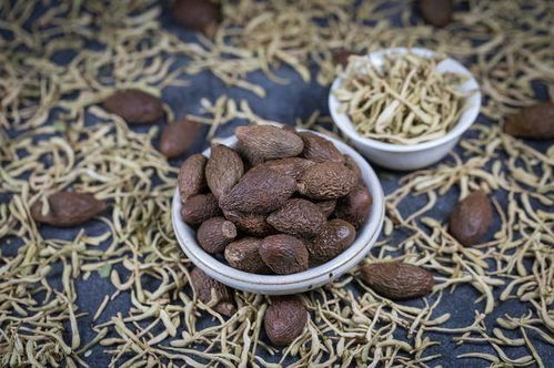 中药材价格波动风险应对措施