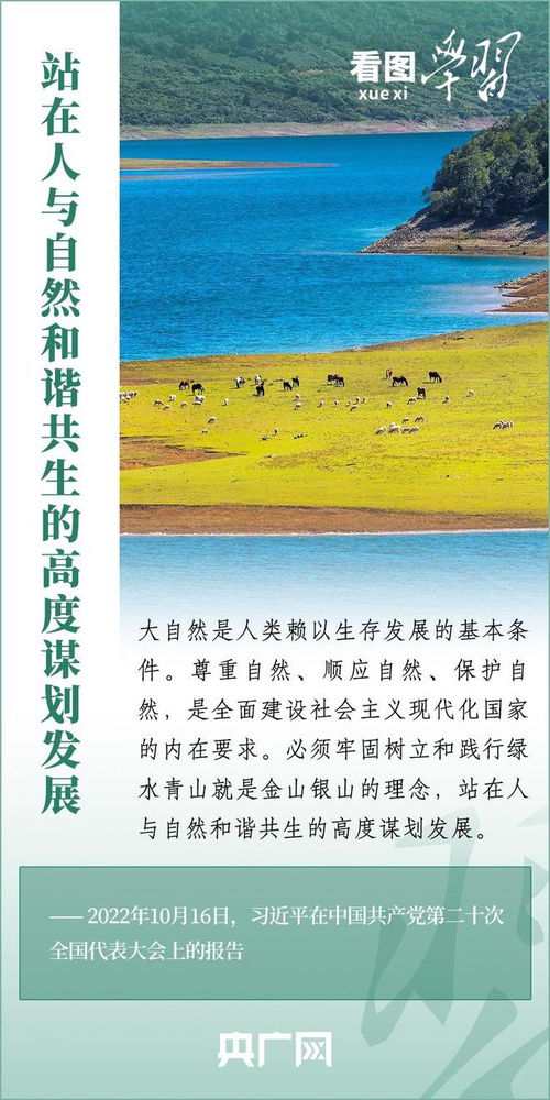 我国棉花生产蓬勃发展，经济、社会效益显著