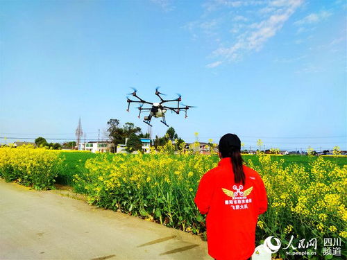 高效防治农业作物病虫害，保障作物健康生长