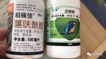 葡萄地使用2甲草甘膦的平安性探讨