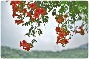 第二步：给它裹个“大被子”