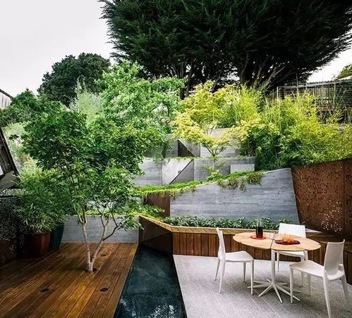 2. 罗汉松， 四季常绿