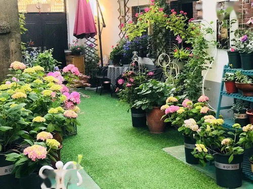 湖南种花草的小秘诀