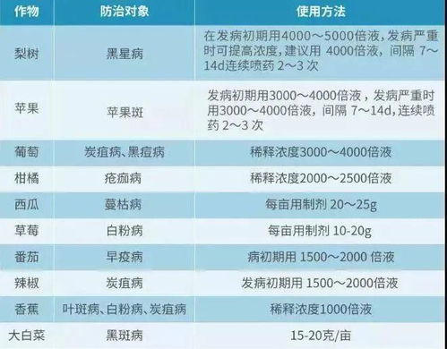案例分析：不同地区的生姜种植经验
