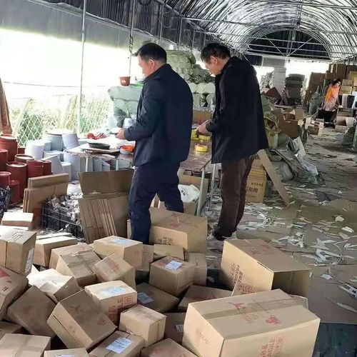 江苏沭阳“春雷行动”扣押苗木， 揭秘背后真相