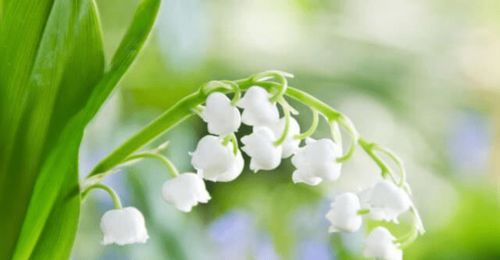 科技加持， 越冬无忧