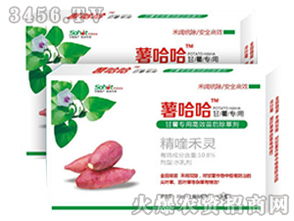 红薯苗后除草， 薯草净了解一下