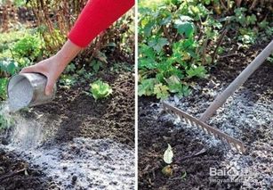 美观耐踩，怎么选？