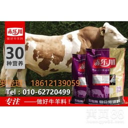 优嘉肉牛预混料育肥期日均增重1.8公斤的配方奥秘是什么？