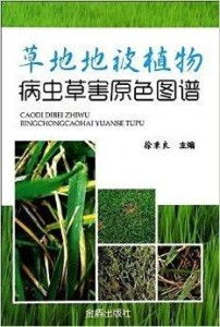 盐水浸泡：剪枝泡3%盐水2小时 不发软的才是硬汉