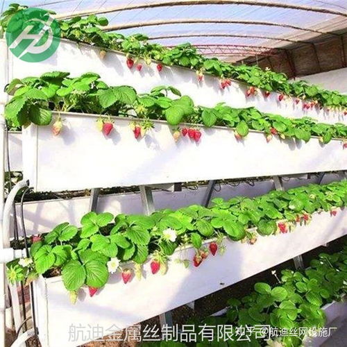 种植户如何筛选供应商？