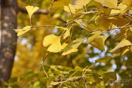 亲近自然 感受生命的律动