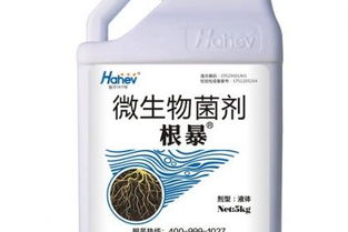 稳定性肥料：长效缓释