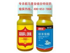 蓟马防治，你选对杀虫剂了吗？