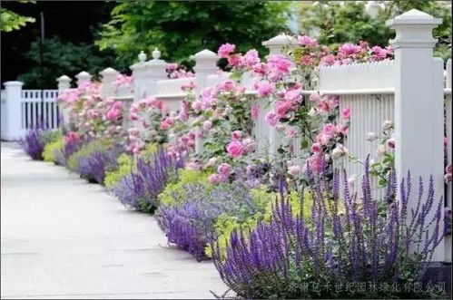 武汉园林专家打造“忘忧花园”