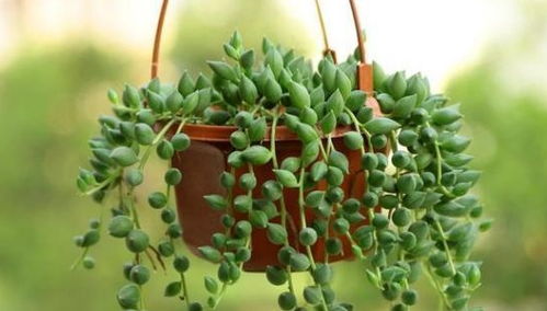 实习生小张的“聪明”办法， 后来啊却适得其反