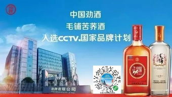 湖南常宁茶油品牌：品质卓越，健康之选