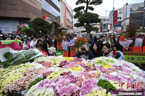 斗南花卉市场：花的海洋， 商家的乐园