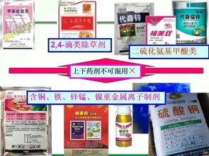 小麦除草剂和杀菌剂不建议混用