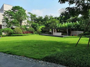 景观设计中的植物资源，百度网盘来帮忙！