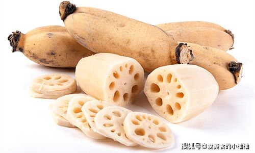 莲藕一般在秋季收获，此时莲藕饱满、口感最佳