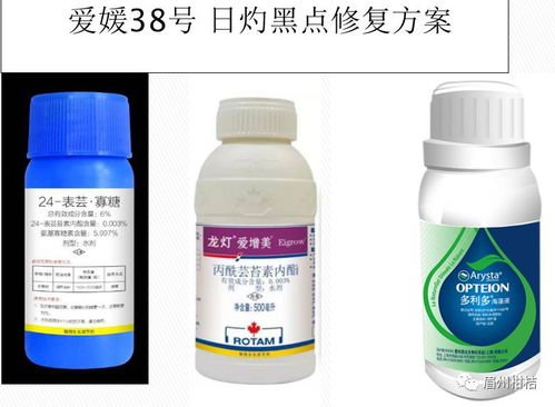 不同作物种植时间的差异