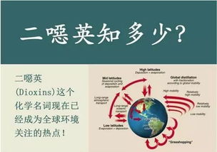 戊唑醇的毒性及其影响对人体健康有哪些潜在危害？