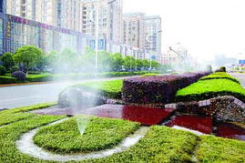 高效节水技巧：花卉养殖用水经济策略