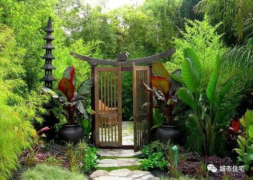 蓬莱竹， 庭院里的一道亮丽风景