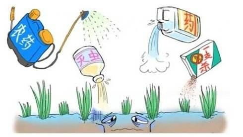 农药放卧室，健康受损无疑