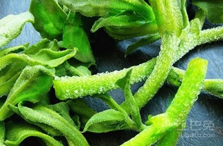 北方必堪：老张的冰草教训