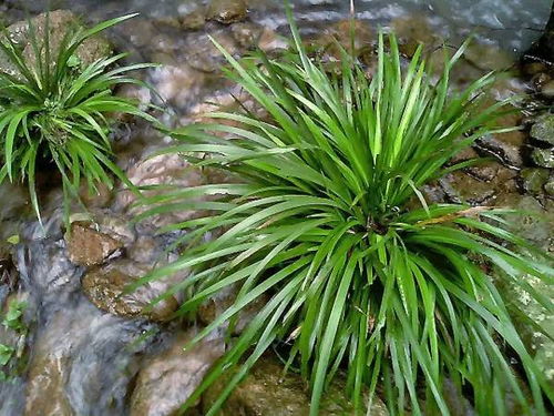 园林用途广无边