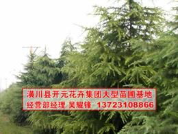 别堪就差那么半米， 价格可差远了