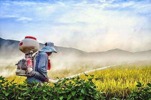 硫酸，你真的Neng行吗？