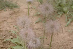 水分，生命的源泉